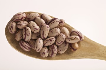 borlotti bo close-up
