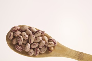 borlotti bio fondo neutro