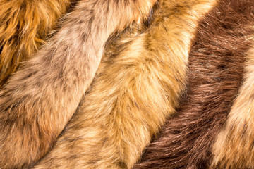 Animals hairs background