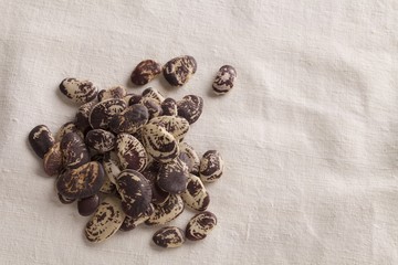 fagioli lima  fagioli phaseolus lunatus