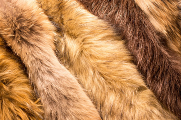 Animals hairs background