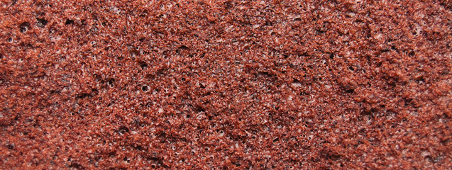 spongy brown background macro of a cake