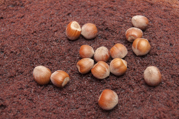 preparazione di una torta al cioccolato nocciola