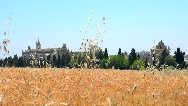 Cartuja monastery, Jerez de la Frontera, Cadiz, Spain