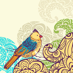 Bird background