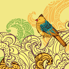 Bird background