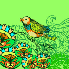 Bird background