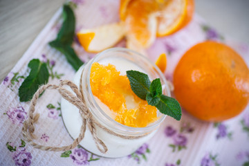  yogurt with mandarin oranges