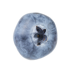 blueberry macro top view isolated on white