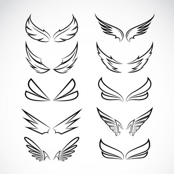Vector black wing icons set on white background