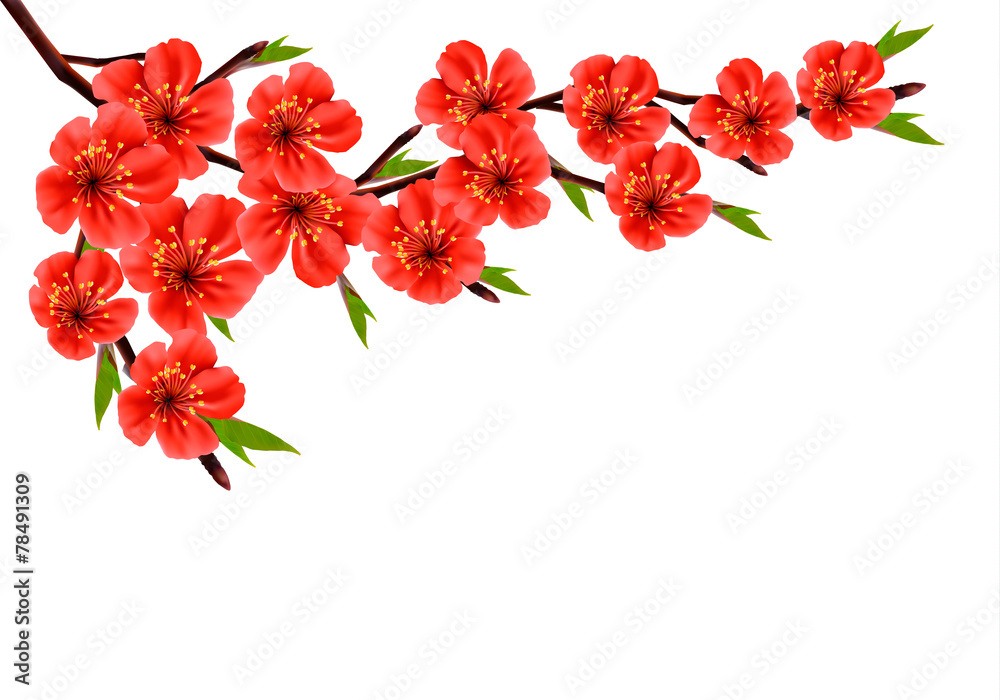 Aufkleber spring background with blossom branch of red flowers. vector