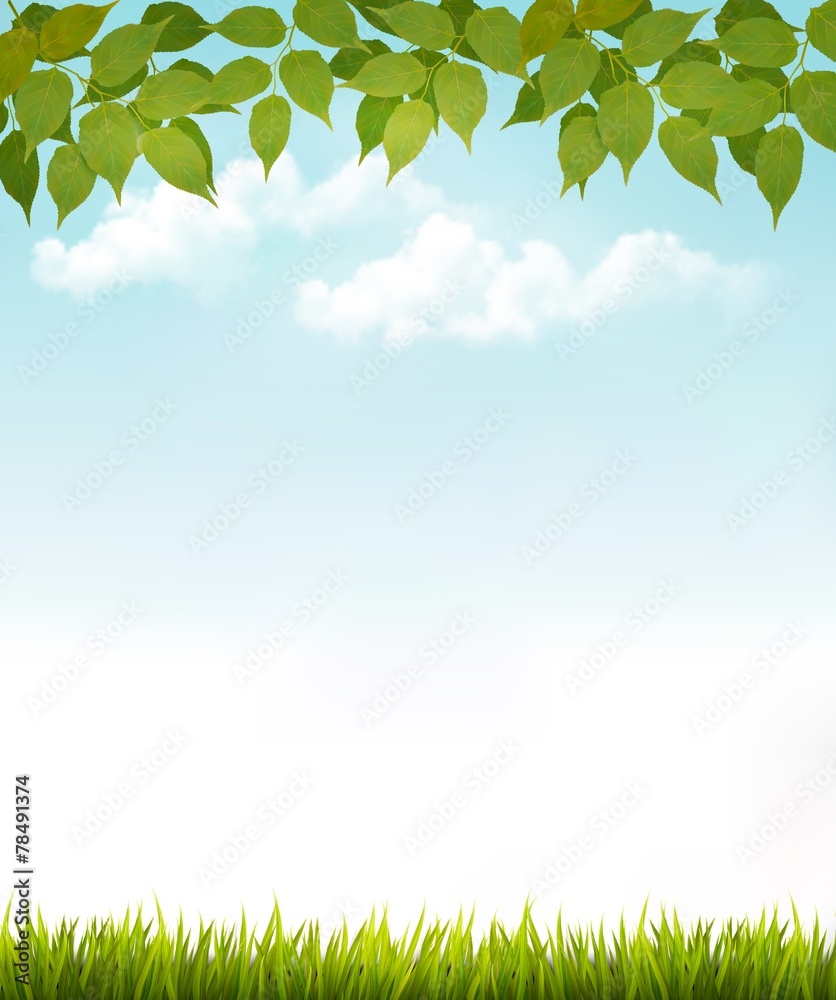 Poster nature background with leaves and grass. vector.