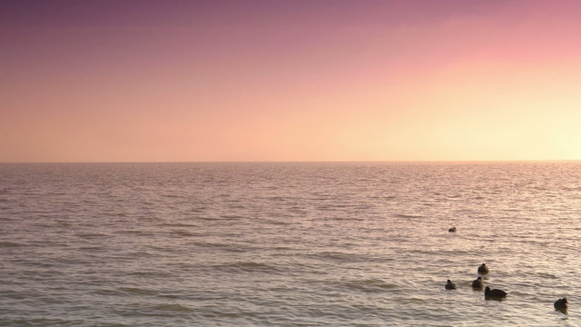 Ijsselmeer at sunset. Volendam, The Netherlands