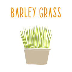Barley grass.