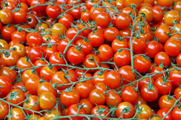 Cherry Tomatoes