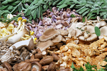Mushroom selection