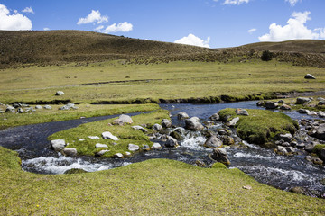 Fototapeta na wymiar River and rocks in Parque Nacional Cotopaxi, Ecuador