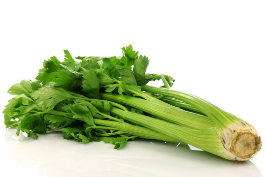 fresh celery on a white background