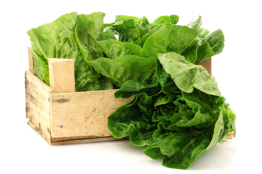 "little gem" lettuce in a wooden crate on a white background