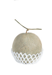 Net foam  wrap Melon on white background