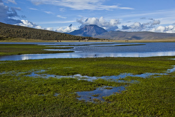 Lagoon, moorland and mountains in the Cotopaxi National Park