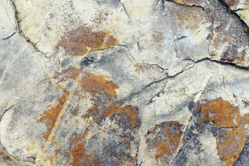 Stone Texture Series