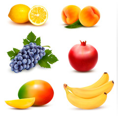 Big group of different fruit. Vector.