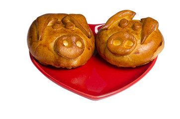 Family Corn pigs isolate