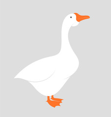 Goose
