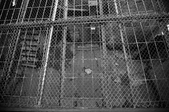 Prison bars background, monochrome