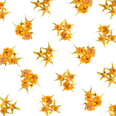 Obraz premium Beautiful dried yellow roses like as background is isolated on w