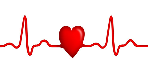 ECG (electrocardiogram) with shape of heart isolated - 78499991