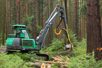 The harvester working in a forest.