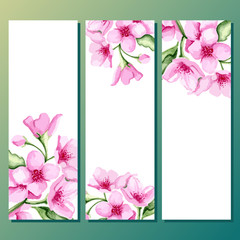 Blossom cherry banners set