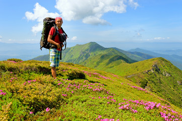 Fototapeta na wymiar Trekker walking flowers field in mountain