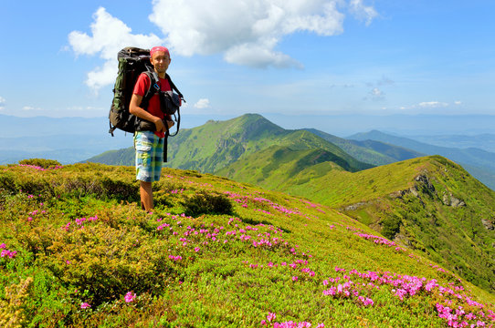 Trekker walking flowers field in mountain