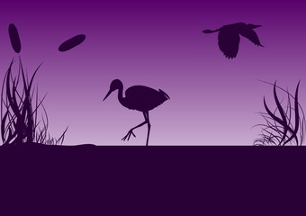 цапля © kanfetina