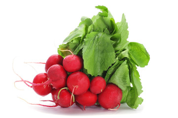 bunch of fresh radishes