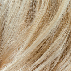 Wavy blonde woman hair background and texture