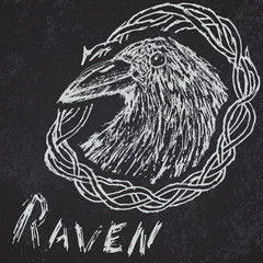 Crow raven handdrawn sketch in blackthorn on blackboard