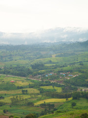 Agricultural areas in the mountains