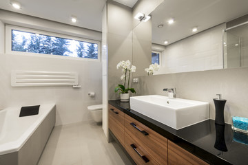 Modern luxury bathroom   interior design