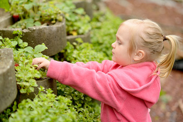 petite fille jardinage