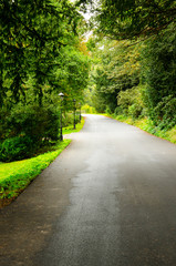 Obraz premium road to life