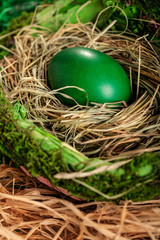 Easter egg  in a nest