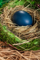 Fototapeta na wymiar Easter egg in a nest