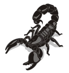 Scorpion