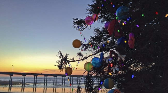Christmas Tree on Beach, Ocean Beach, San Diego, California, USA