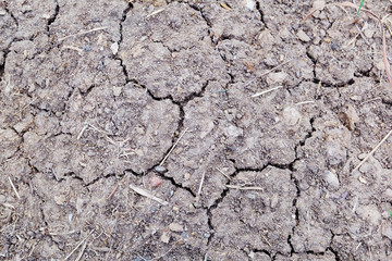 Closeup of dry soil