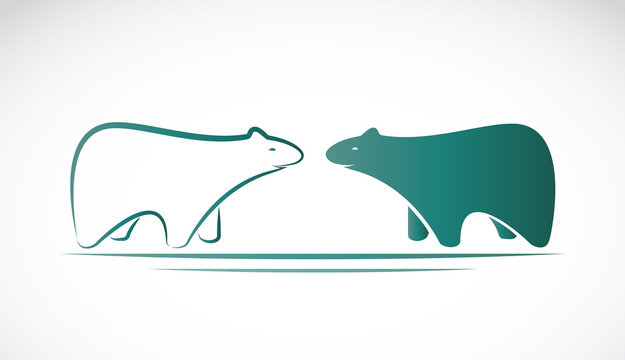 Vector image of an bear design on white background